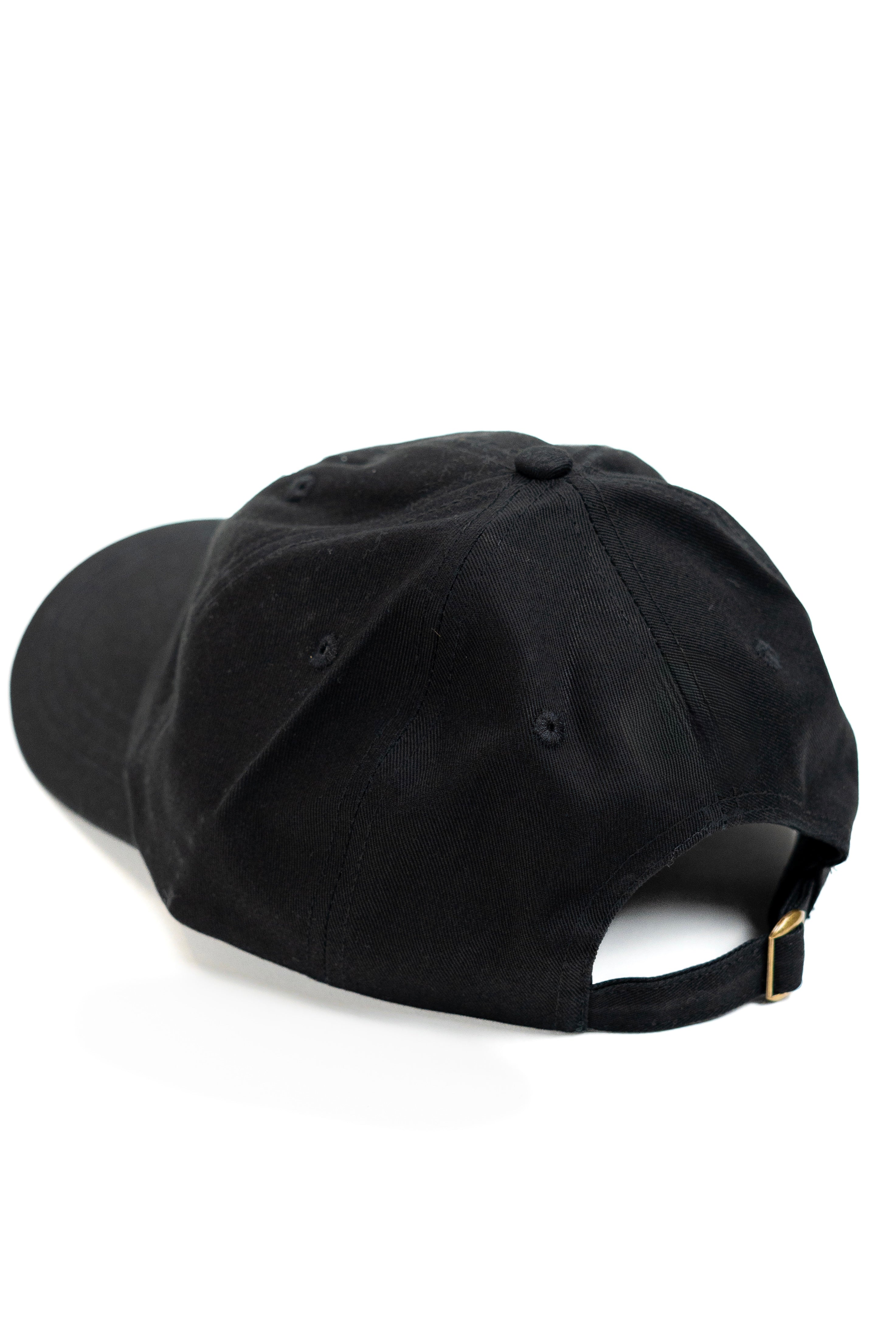 Shiryon Logo Hat