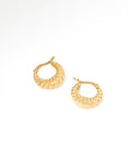 Graduated Hoop Earrings