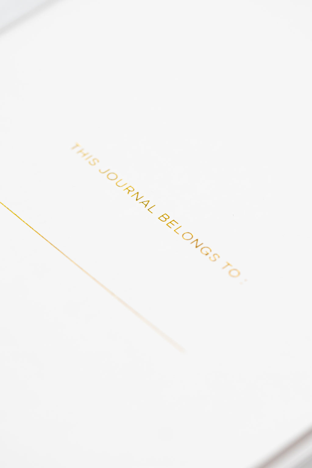The Journal | Beige