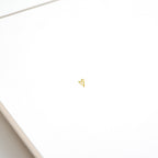 The Journal | Beige
